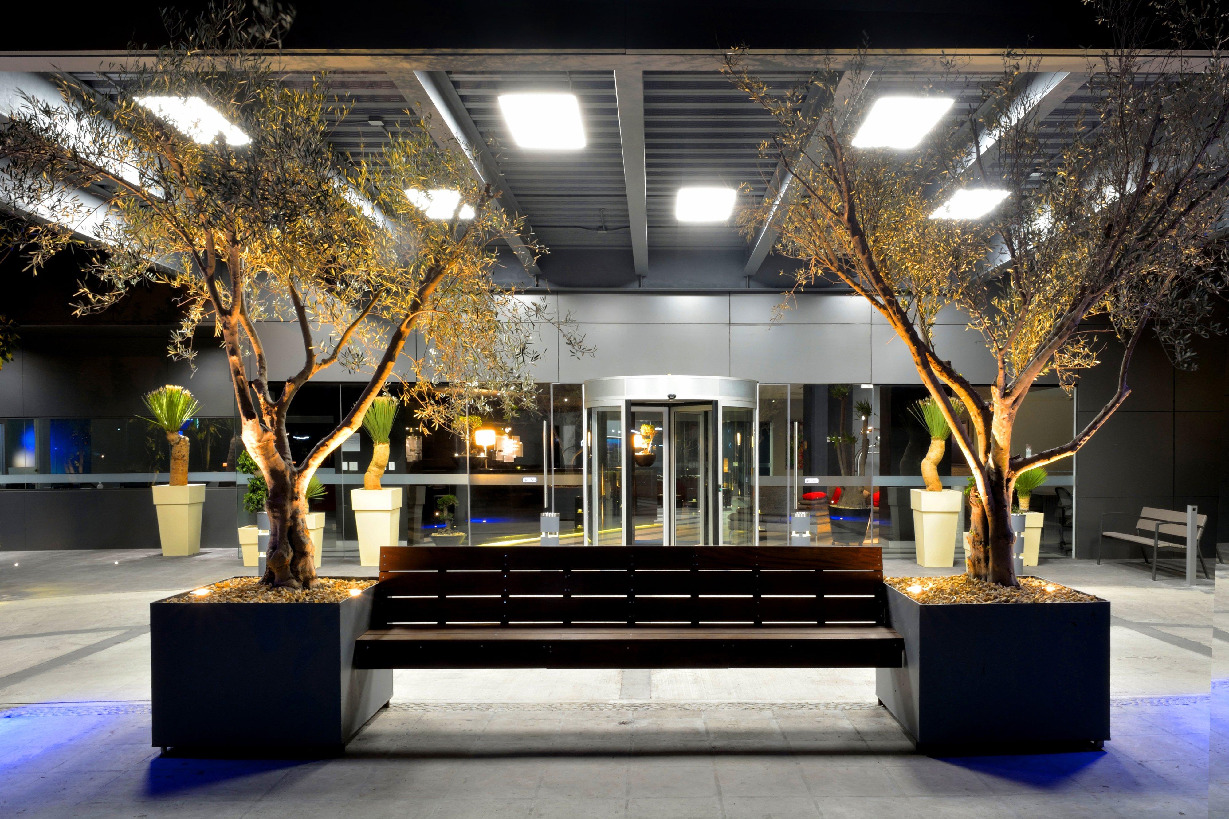 Holiday Inn Express Pachuca By Ihg Buitenkant foto